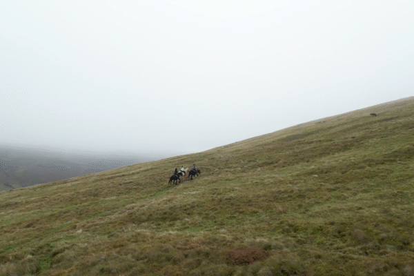 Does bad weather mean your film is ruined?
